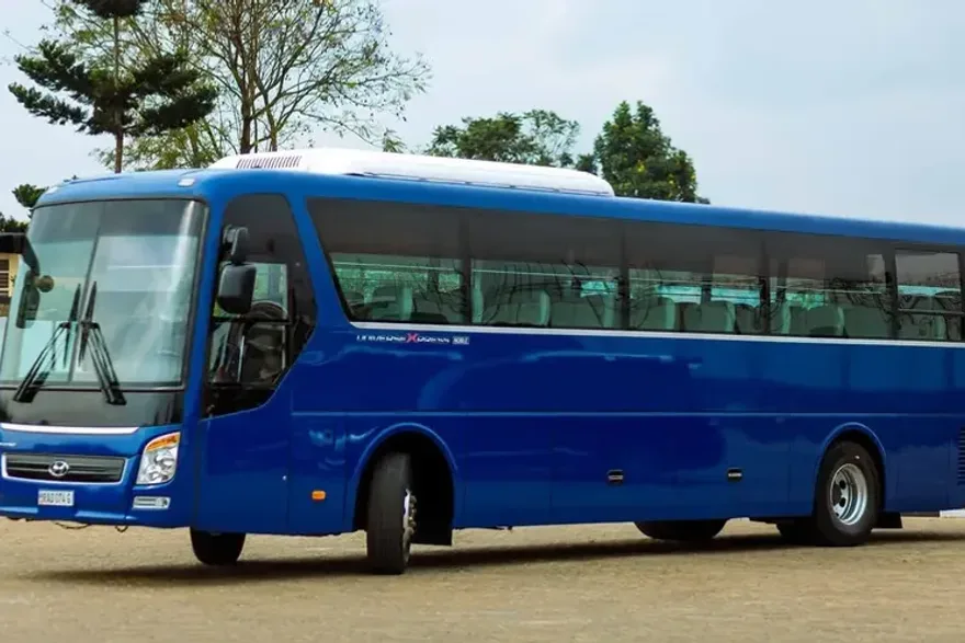 Coach tours