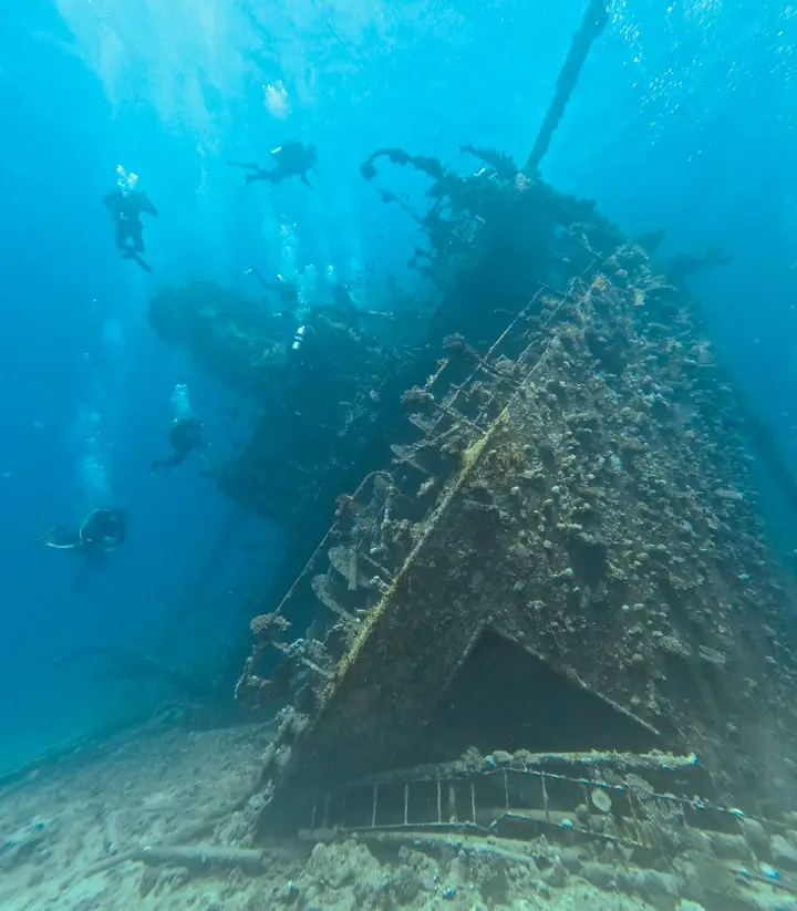 Divers above a sunken ship covered in weed