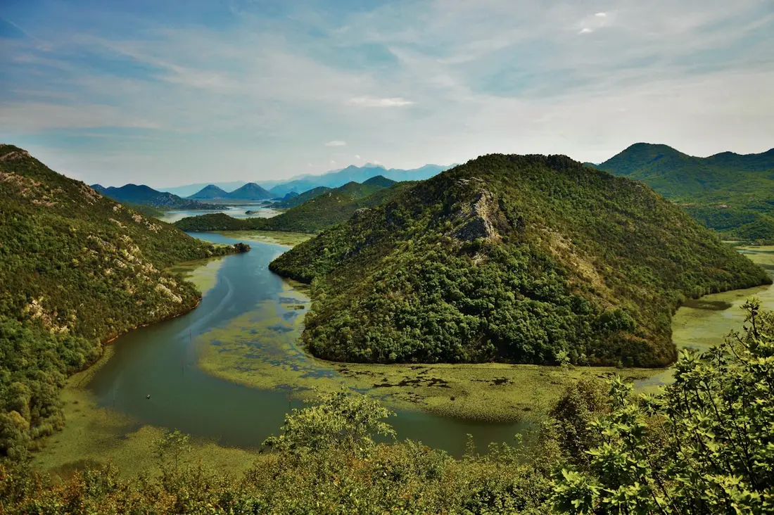 The bend of the Crnojević river on Lake Skadar